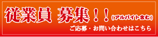 �]�ƈ���W-������E���₢���킹�͂�����-